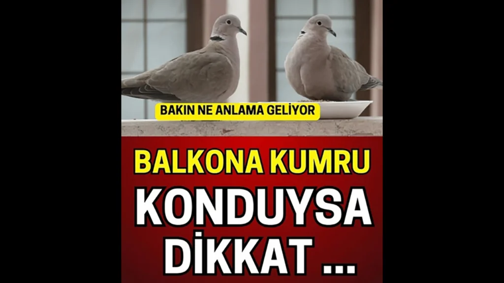 Balkona Kumru Konması Ne Anlama Gelir? İşte Bu Gizemli Olayın Sembolik Anlamı