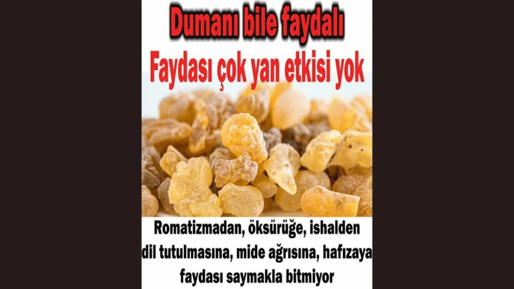 Öksürüğe İyi Gelen Gıdalar: Akciğerleri Temizleyen Doğal Çözümler