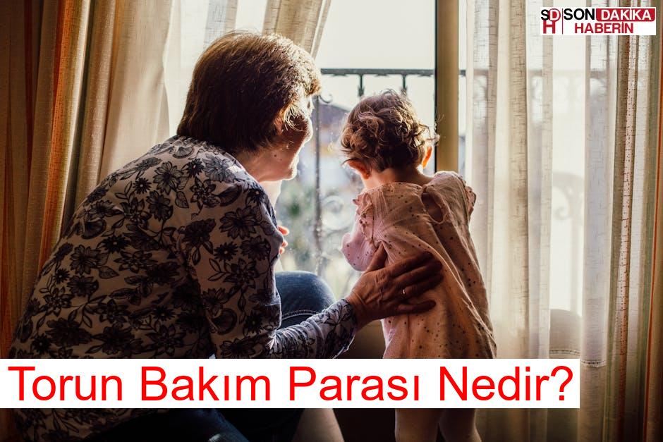 Torun Bakım Parası Nedir?