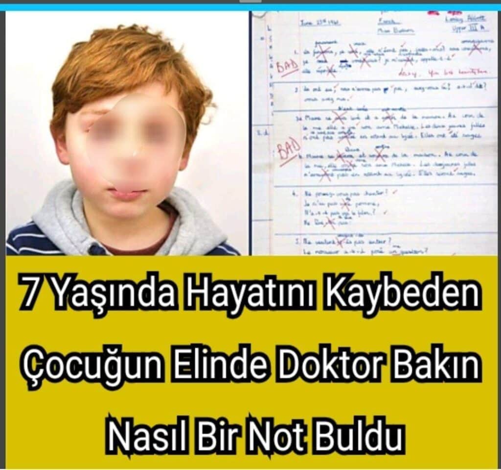 Ivan’ın Hüzünlü Hikayesi: Şiddet ve Yalnızlık İçinde Bir Veda