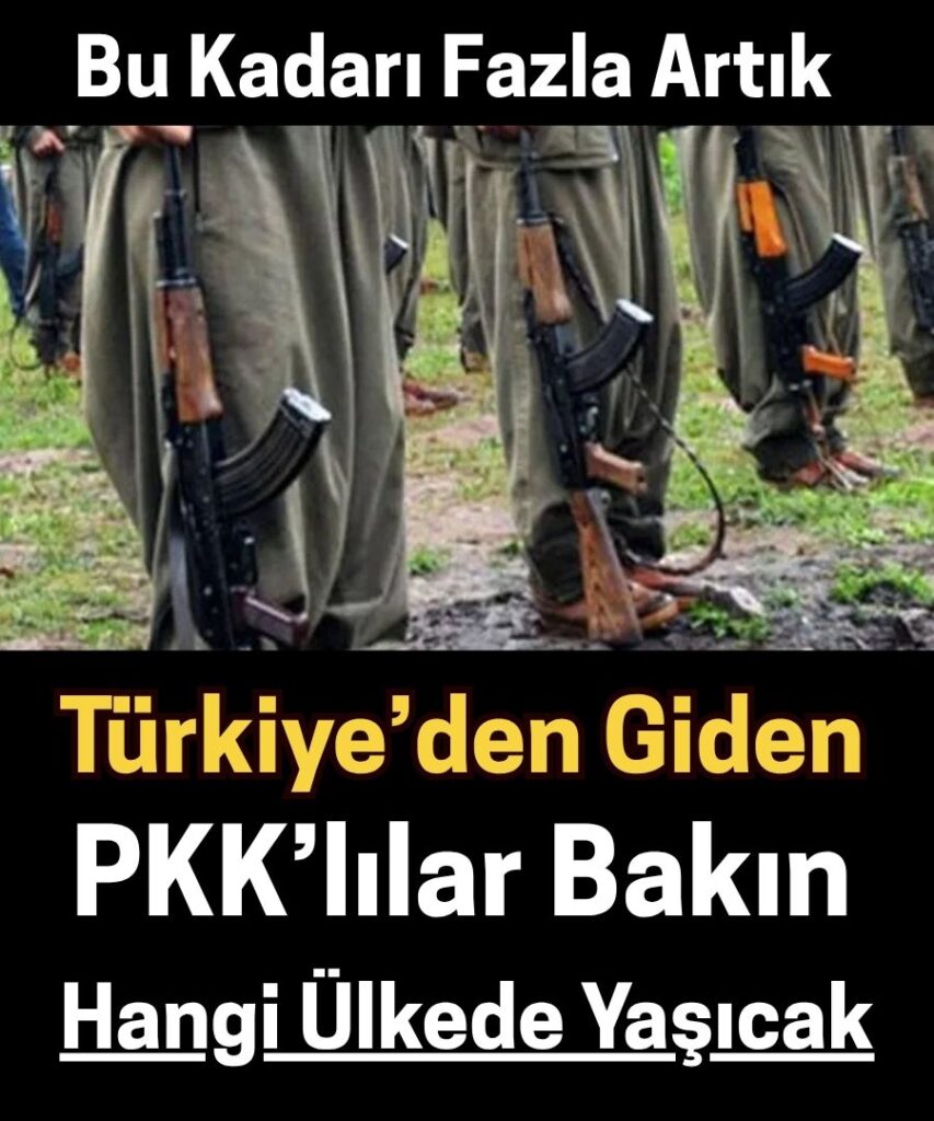 PKK’lılar Nereye Gidiyor?