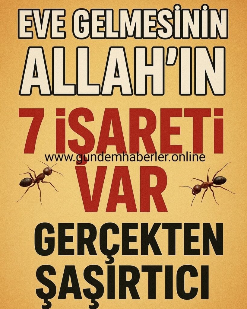 Karıncanın Eve Gelmesi Dinen