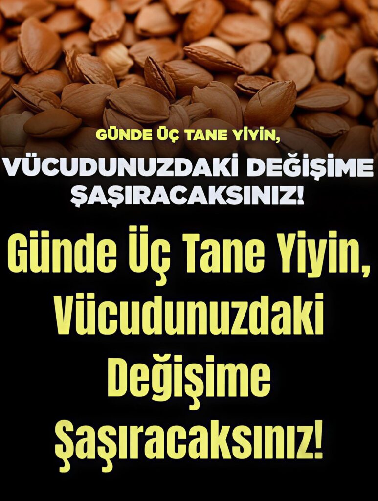 Sağlık ve Şifa Kaynağı