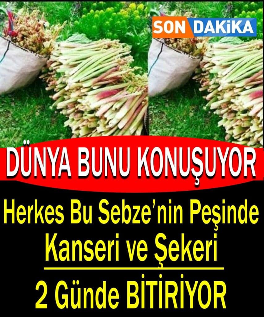 Bilim Dünyasında Işgın Heyecanı