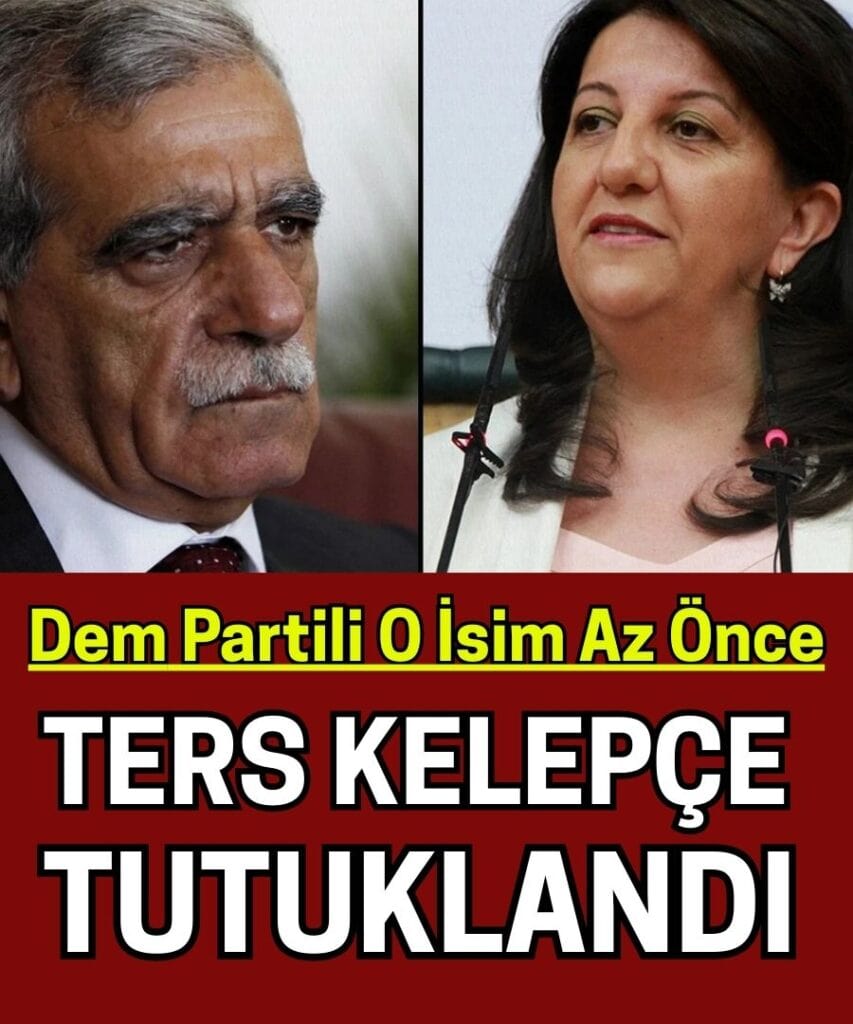 DEM Parti Gençlik Meclisi Üyesi Livan Orman Gözaltına Alındı