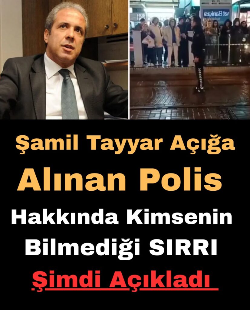 Şamil Tayyar’dan Çarpıcı Değerlendirme