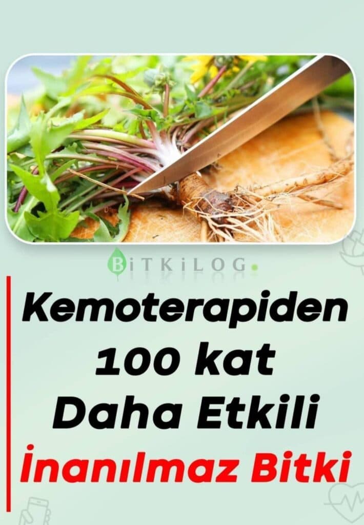 Bilim Adamlarından Kanser Tedavisinde Umut Veren Keşif